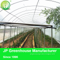 tunnel plastic greenhouse film agriculture